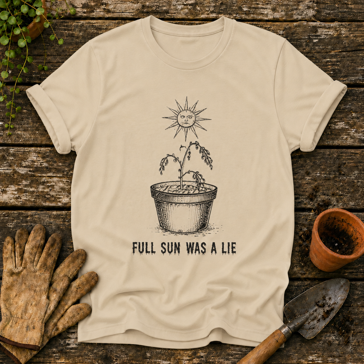 Full Sun Was A Lie